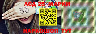 амф Бердск