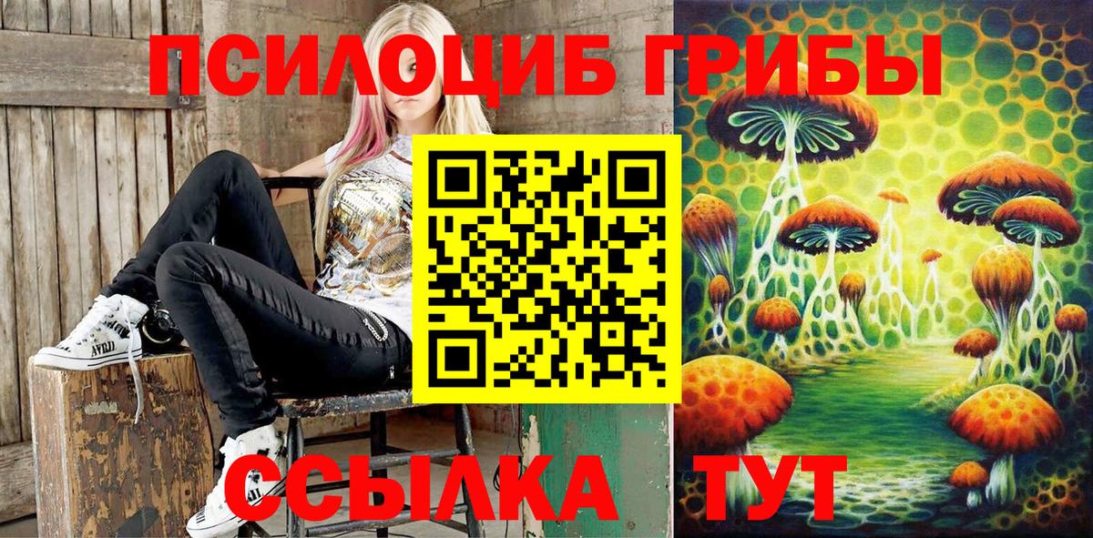 Псилоцибиновые грибы Magic Shrooms Кувандык