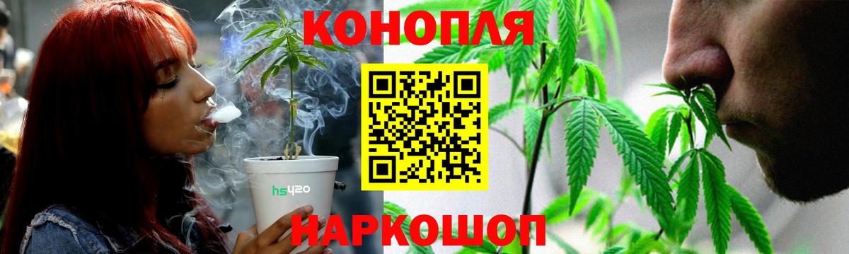 Бошки марихуана план  Вход с VPN  Кувандык  Бошки марихуана марихуана 